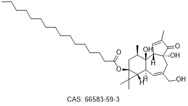 12-deoxyphorbol 13-palmitate