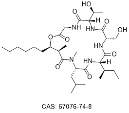 Globomycin