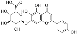 Scutellarin