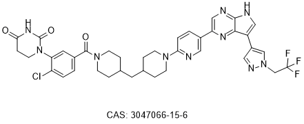 DD205-291