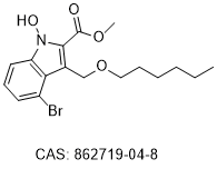 LDHA inhibitor 1g