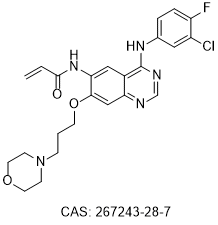 Canertinib