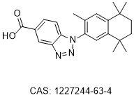 CBt-PMN