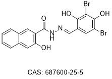 FTO inhibitor 8t