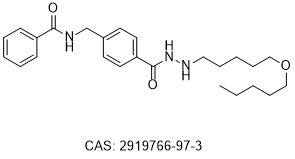 HDAC11 inhibitor B6