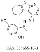 RelB inhibitor RS47