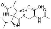 Lactacystin