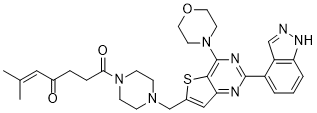 CNX-1351