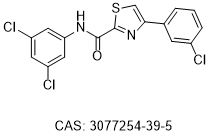 CYP1B1 inhibitor B20