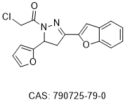 RhoA inhibitor CL16