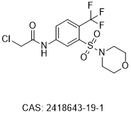 GSTO1-1 inhibitor 25