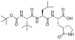 SARS-CoV-2 Mpro inhibitor H102