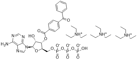 BzATP triethylammonium salt