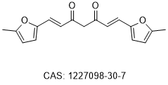 APE1 inhibitor C10