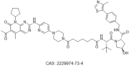 Cyclin D1 degrader MS28