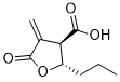 Butyrolactone 3