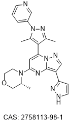 Gavapsertib