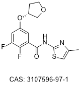 VU6024945