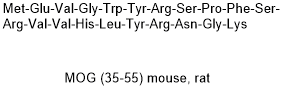 MOG (35-55) mouse, rat