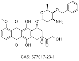 Berubicin