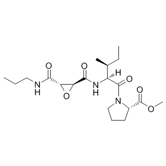 CA-074 methyl ester