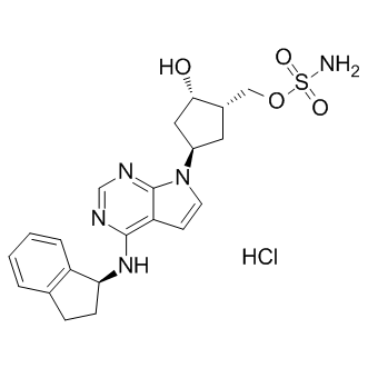 MLN-4924 hydrochloride