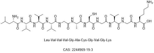 KRAS G12C Pipetide LVVVGACGVGK