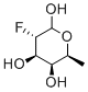 SGN-2FF